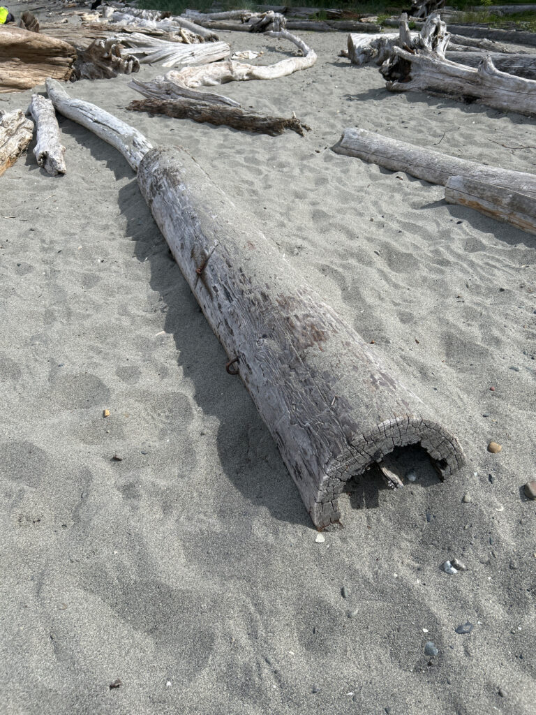 a large piece of wood (MyCoast AI)
