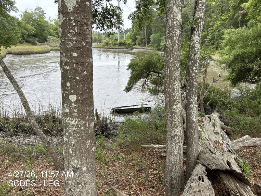 a lake surrounded by trees (MyCoast AI)