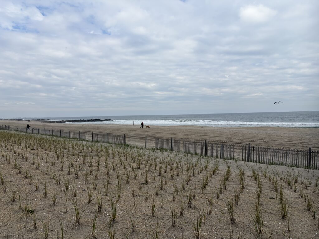 a beach with people walking on it (MyCoast AI)