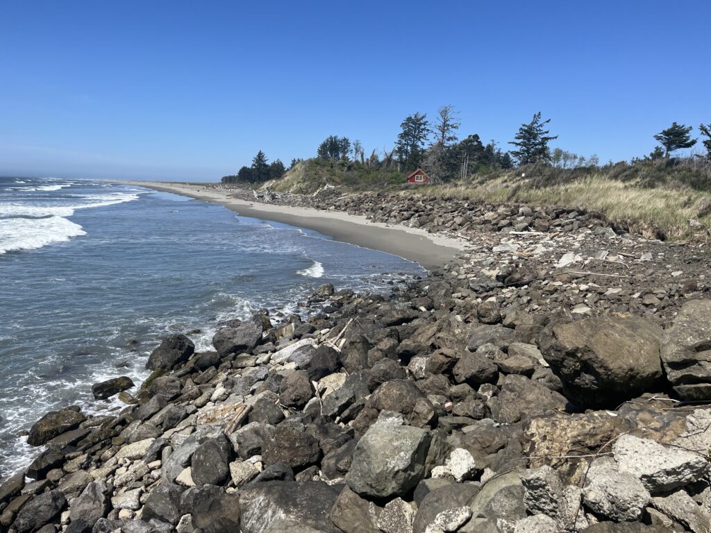 a rocky beach with trees and a body of water (MyCoast AI)