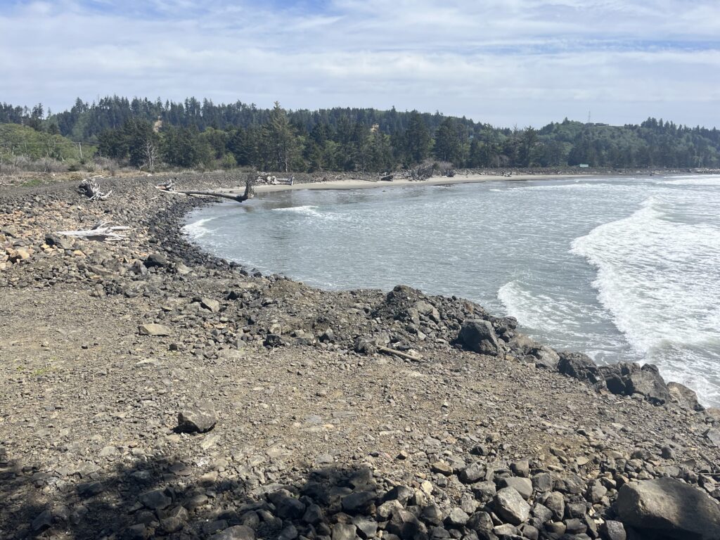 a rocky beach with trees in the background (MyCoast AI)