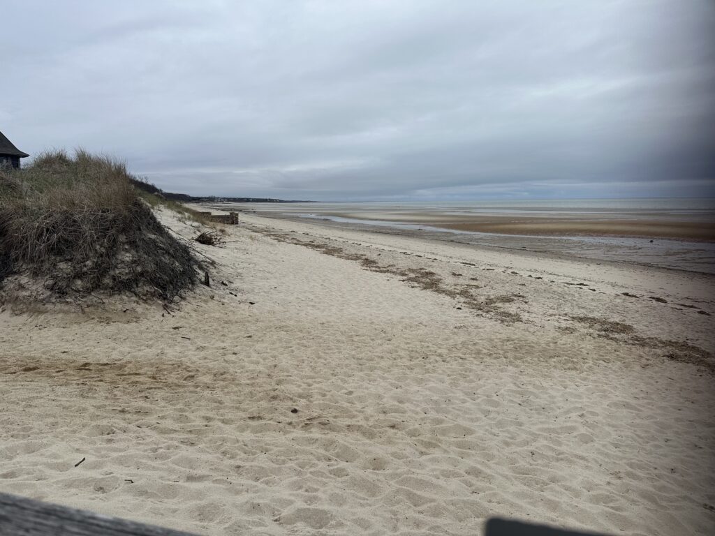 a sandy beach with a hill and a building on the side (MyCoast AI)