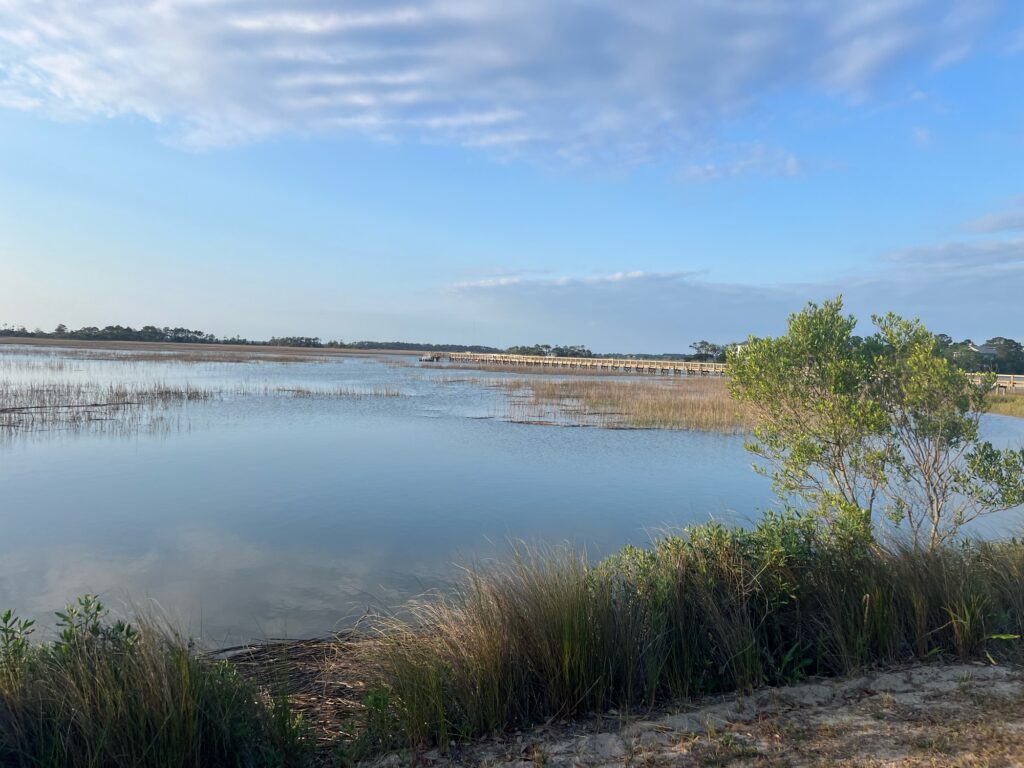 a body of water with plants and trees around it (MyCoast AI)