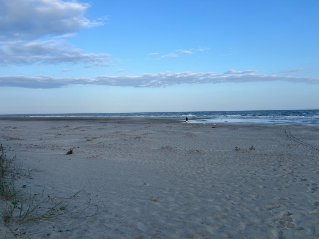 a sandy beach with a body of water in the background (MyCoast AI)