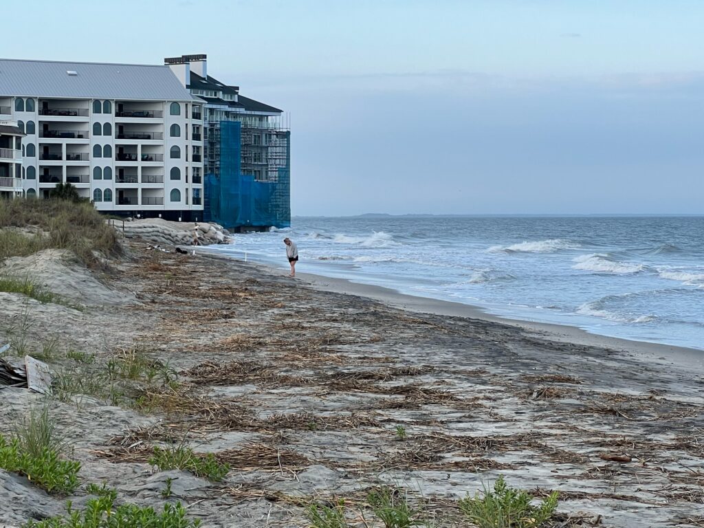 a person standing on a beach (MyCoast AI)