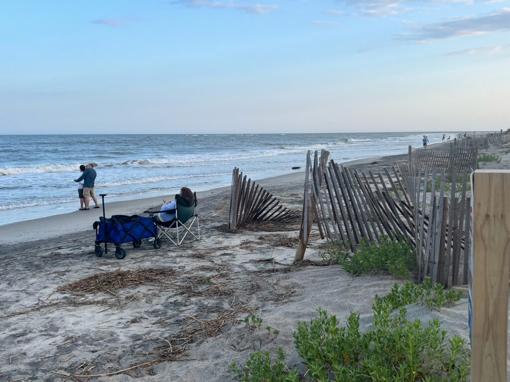 a couple of people on a beach (MyCoast AI)