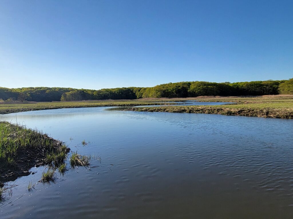 a body of water with land in the back (MyCoast AI)