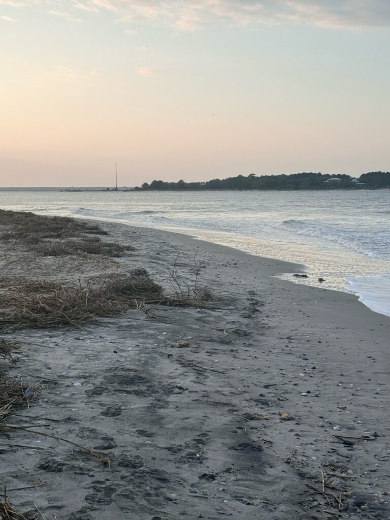a beach with sand and water (MyCoast AI)
