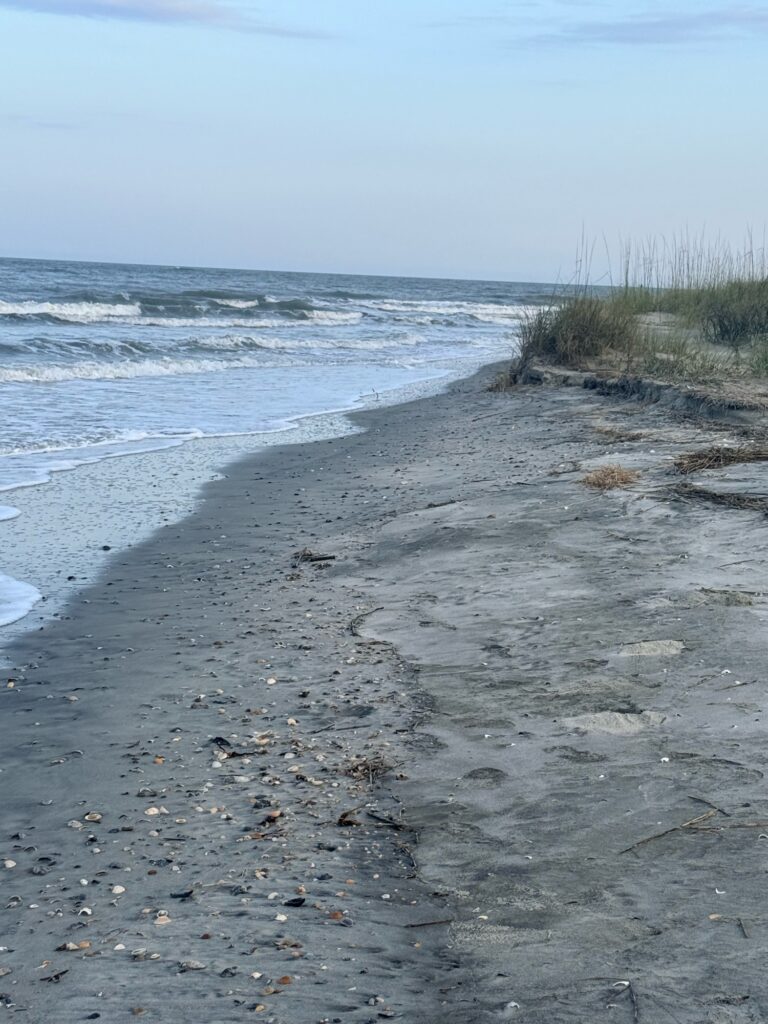 a sandy beach with waves crashing on it (MyCoast AI)