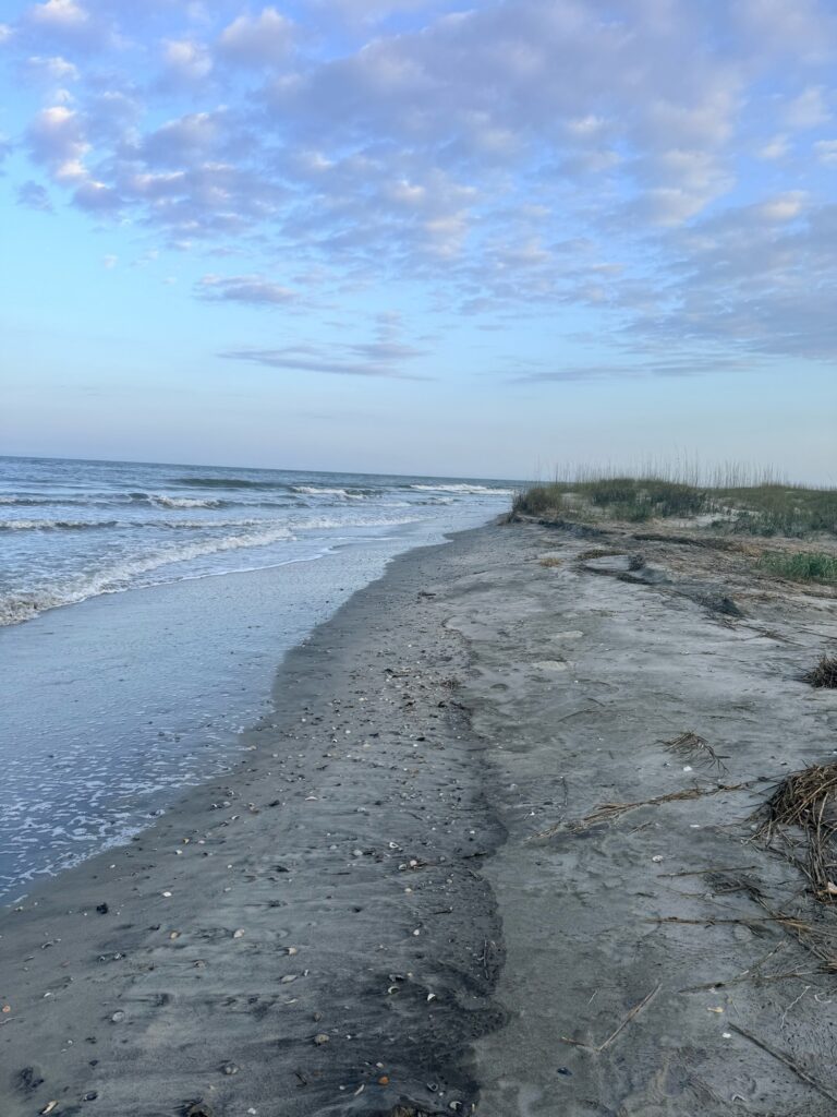 a beach with sand and water (MyCoast AI)