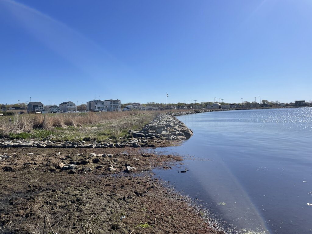 a beach with houses along it (MyCoast AI)