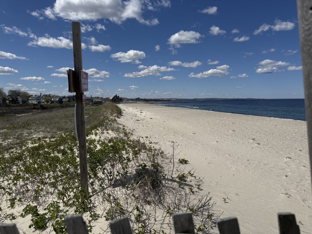 a beach with a sign (MyCoast AI)