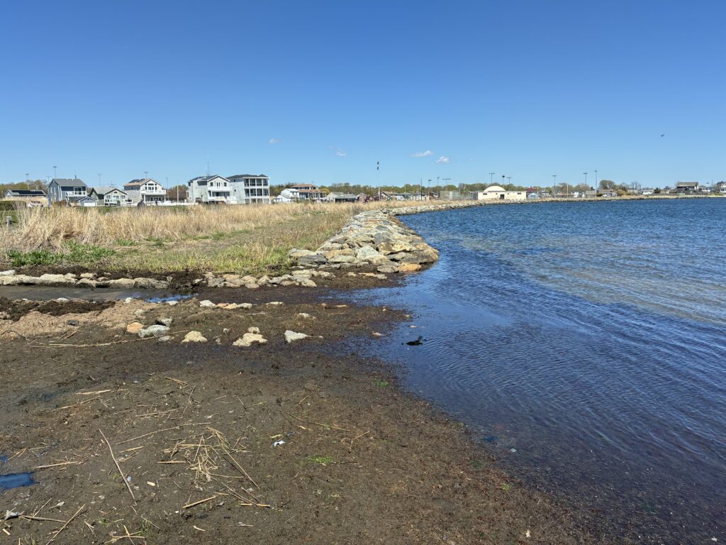 a beach with houses in the background (MyCoast AI)