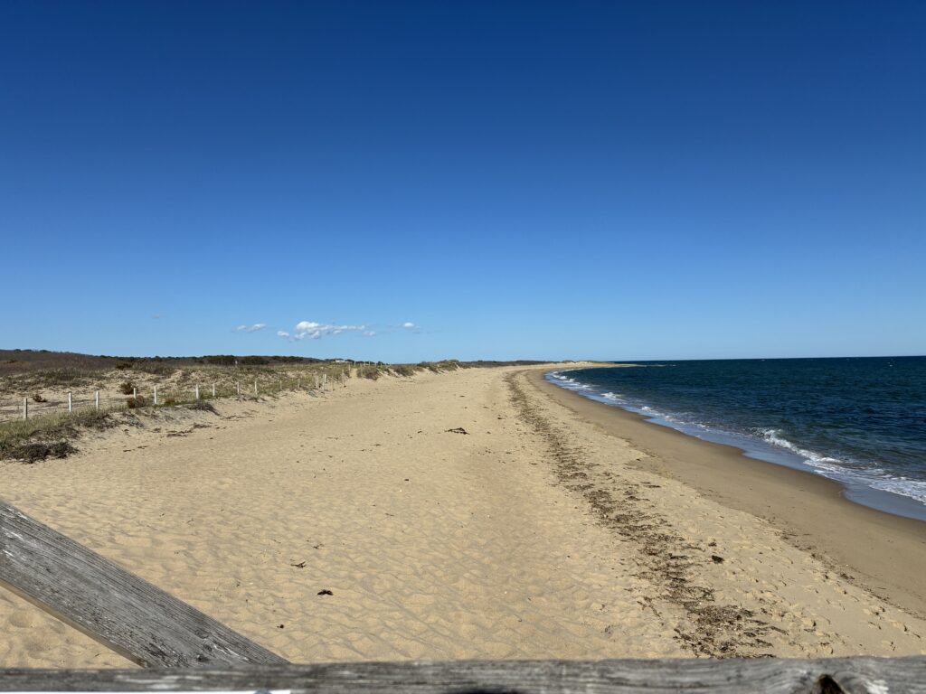 a sandy beach with a fence and water in the background (MyCoast AI)