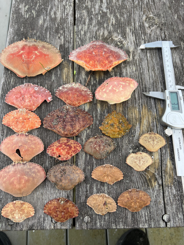 a group of meat on a cutting board (MyCoast AI)