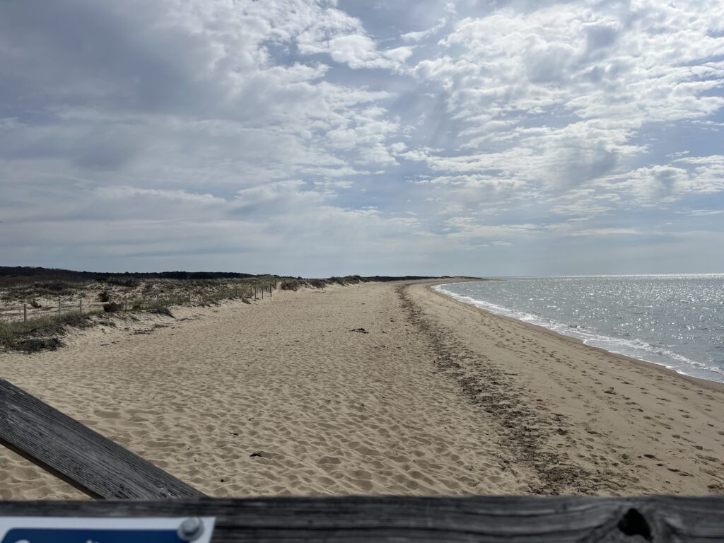 a sandy beach with a railing (MyCoast AI)