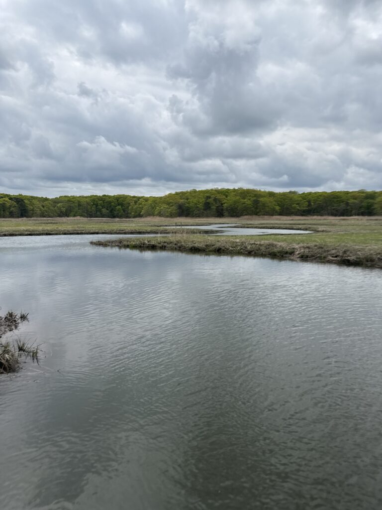a body of water with land in the back (MyCoast AI)