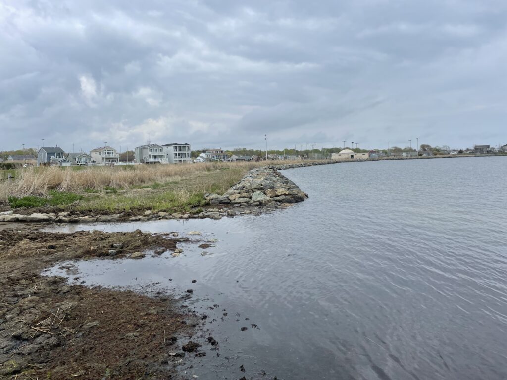 a body of water with buildings in the background (MyCoast AI)