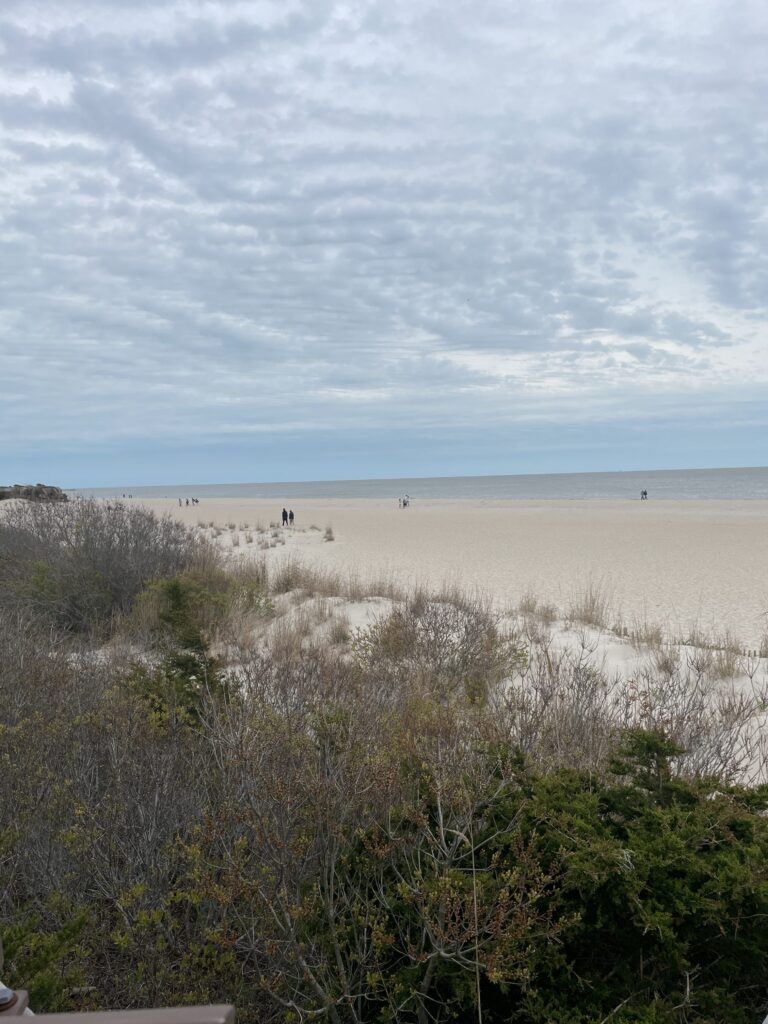 a beach with bushes and trees (MyCoast AI)