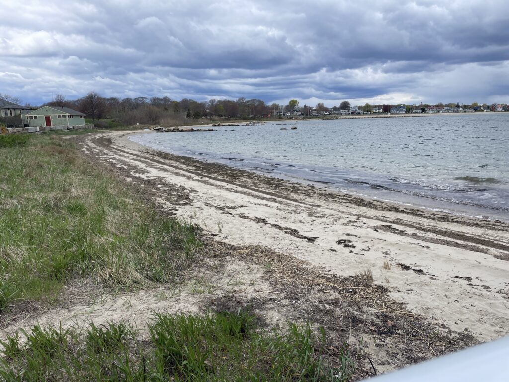 a beach with a body of water (MyCoast AI)