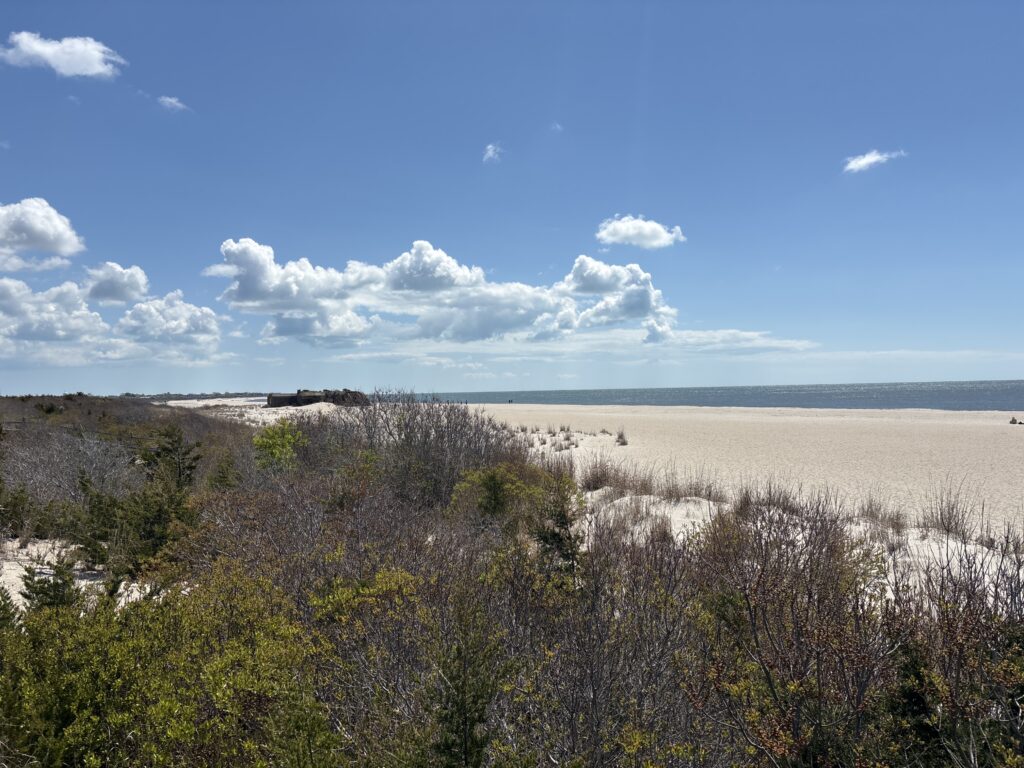 a landscape with trees and bushes (MyCoast AI)