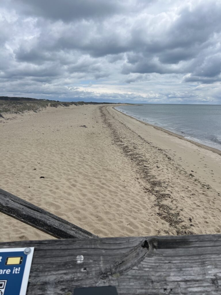 a sandy beach with a wooden fence (MyCoast AI)