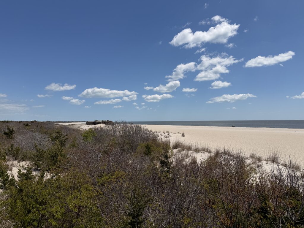 a sandy beach with bushes and trees (MyCoast AI)