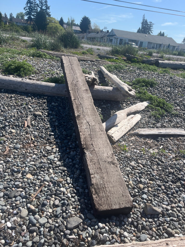 a pile of wood (MyCoast AI)