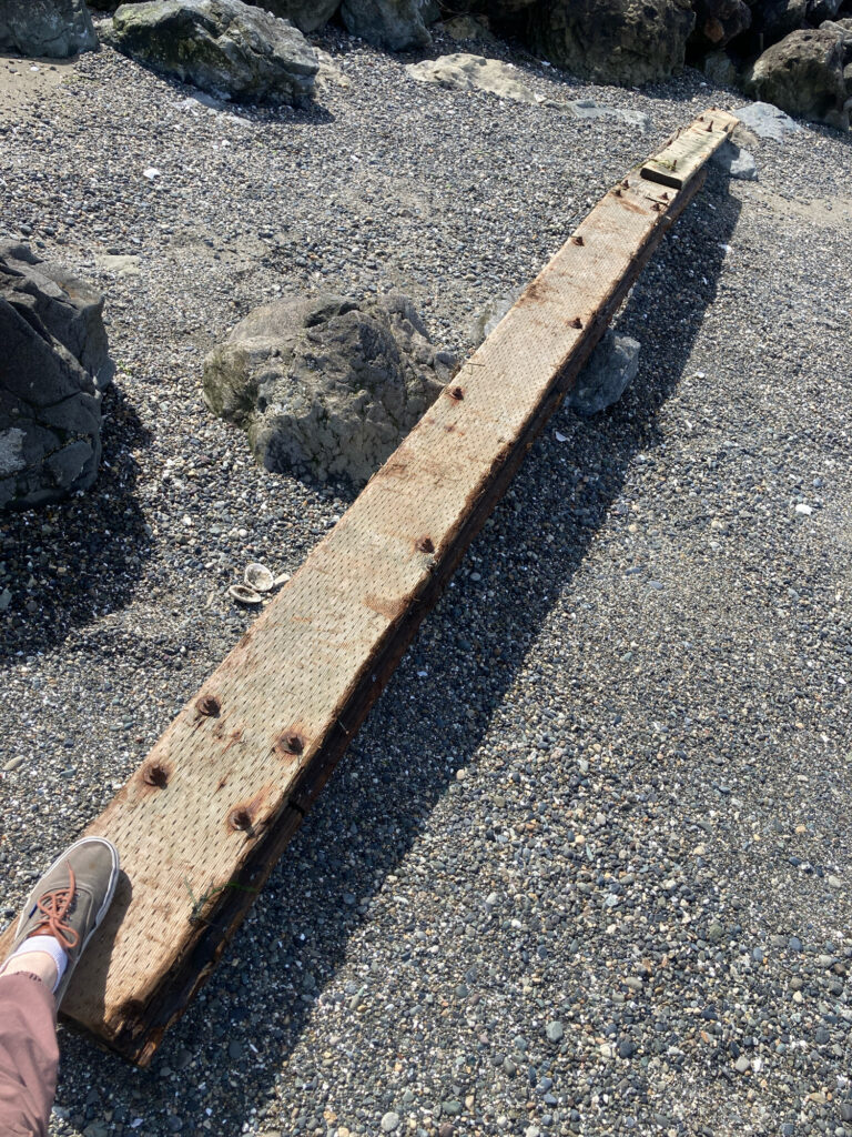 a wooden plank on the ground (MyCoast AI)