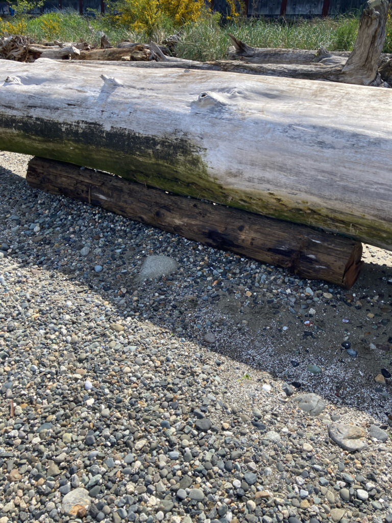 a wooden bench on a rocky path (MyCoast AI)
