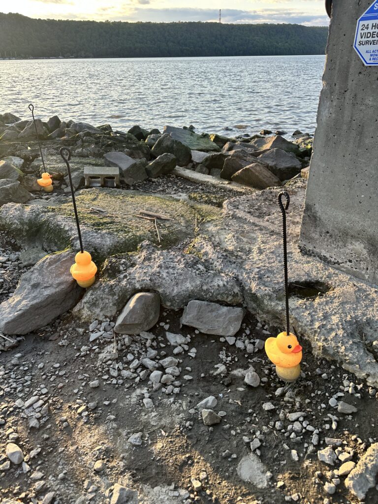 a rocky beach with a sign (MyCoast AI)