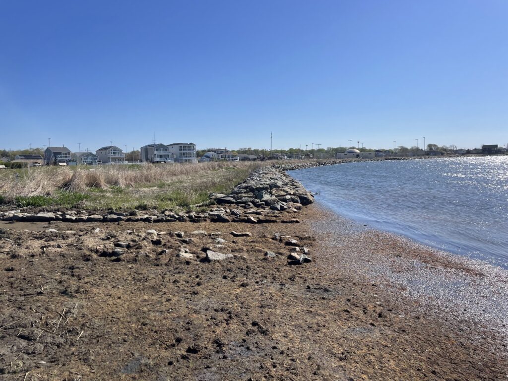 a beach with rocks and grass (MyCoast AI)