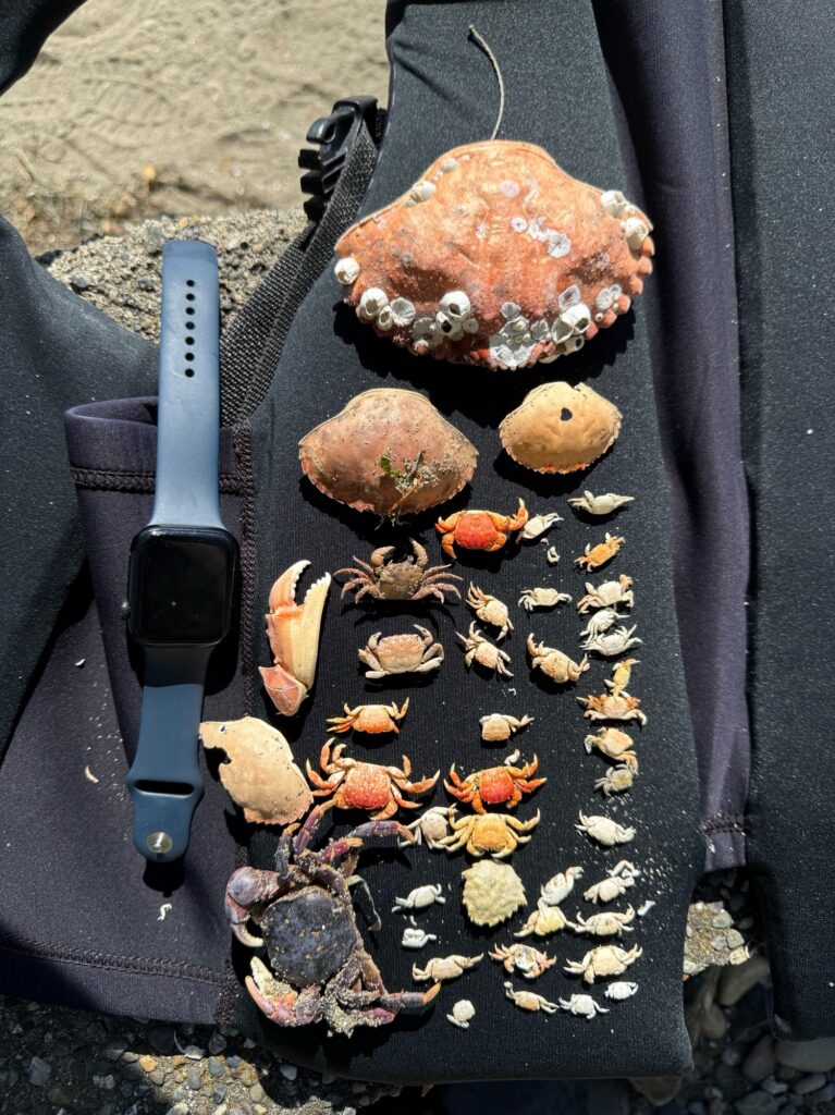 a knife and a bagel on a black surface (MyCoast AI)
