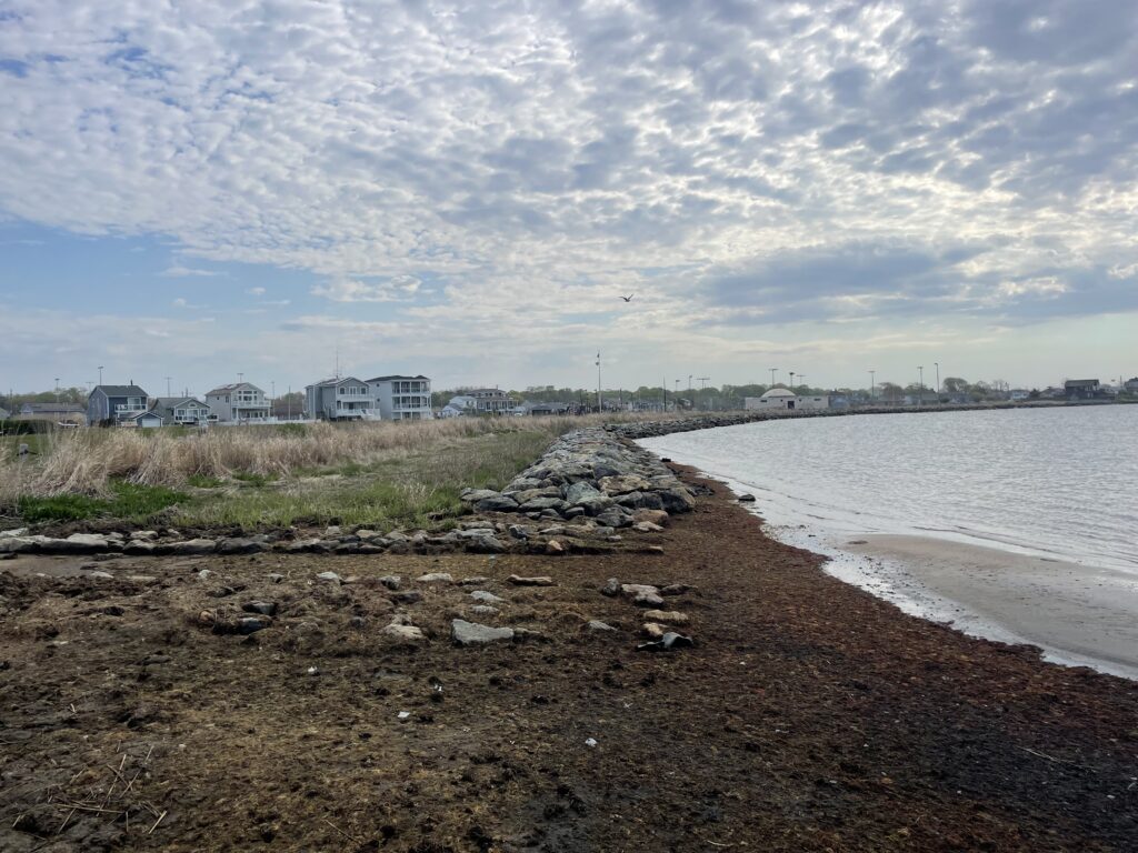 a beach with a body of water and buildings in the background (MyCoast AI)