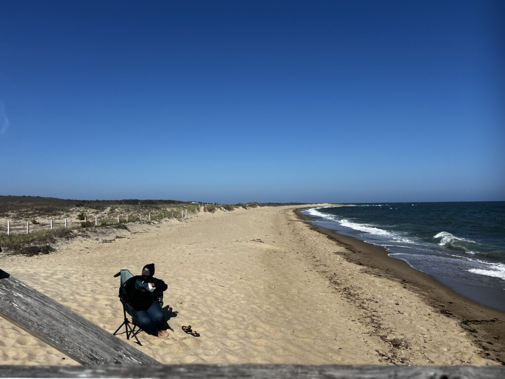 a person sitting on a chair on a beach (MyCoast AI)
