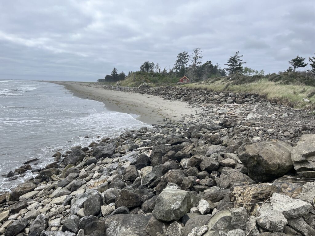 a rocky beach with trees and a body of water (MyCoast AI)