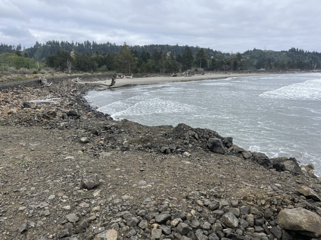 a rocky beach with trees in the background (MyCoast AI)