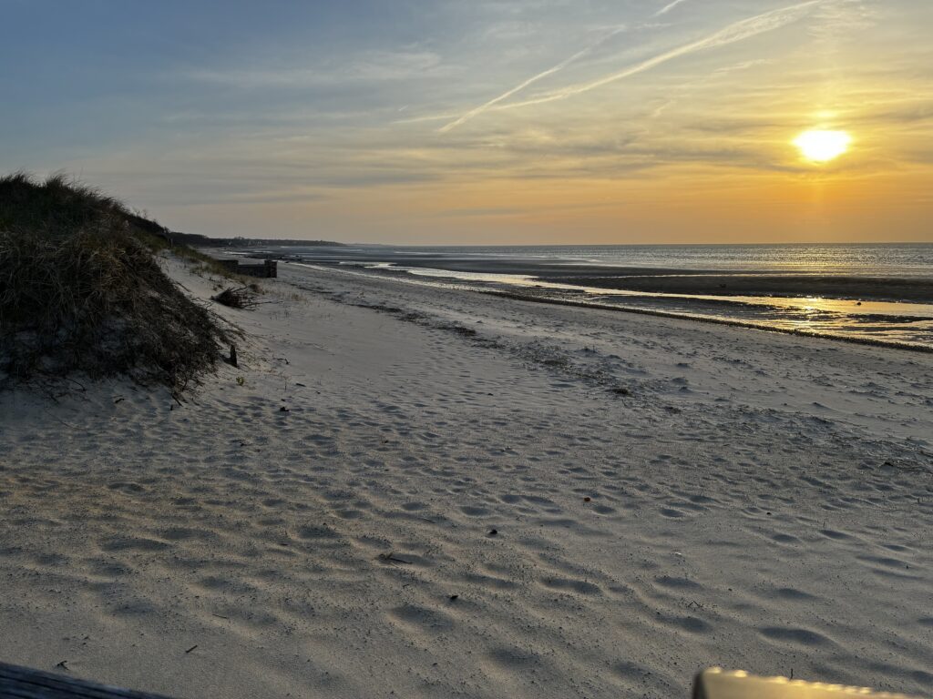 a beach with a sunset (MyCoast AI)
