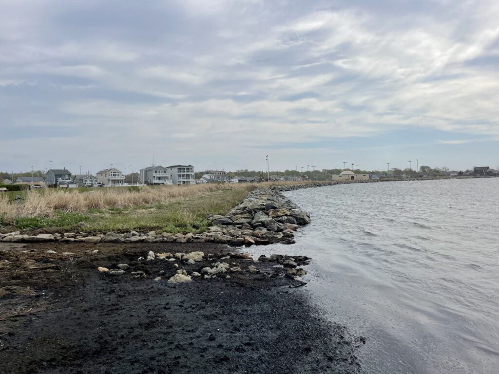 a rocky beach with houses in the background (MyCoast AI)