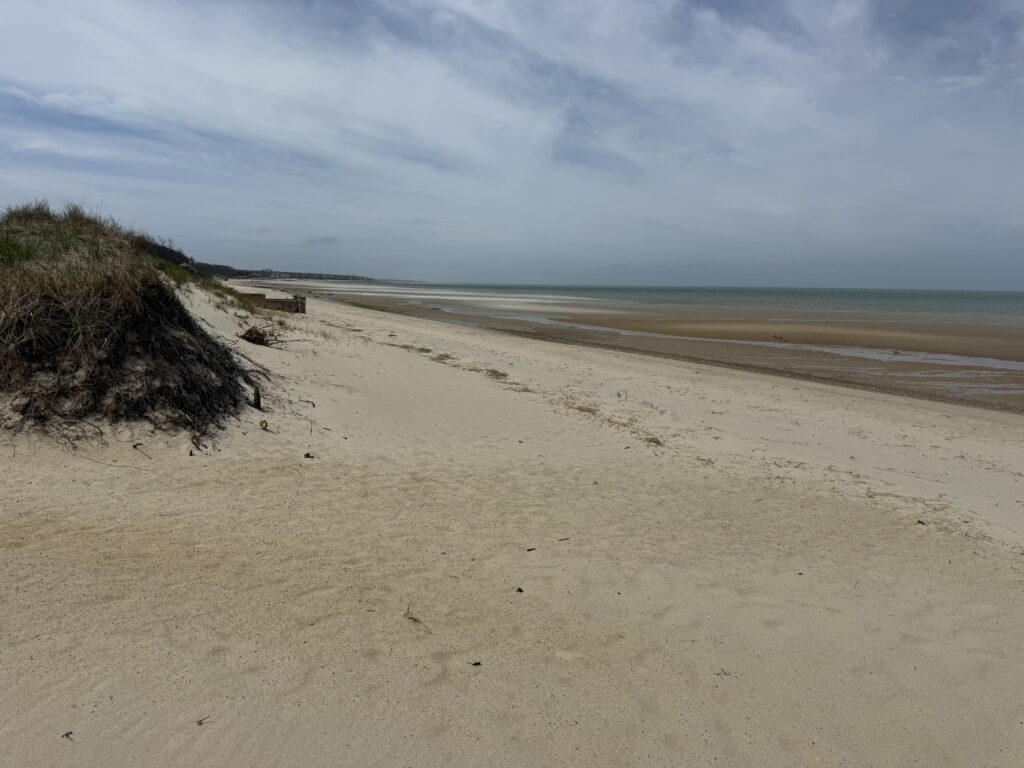 a sandy beach with a hill and water in the background (MyCoast AI)