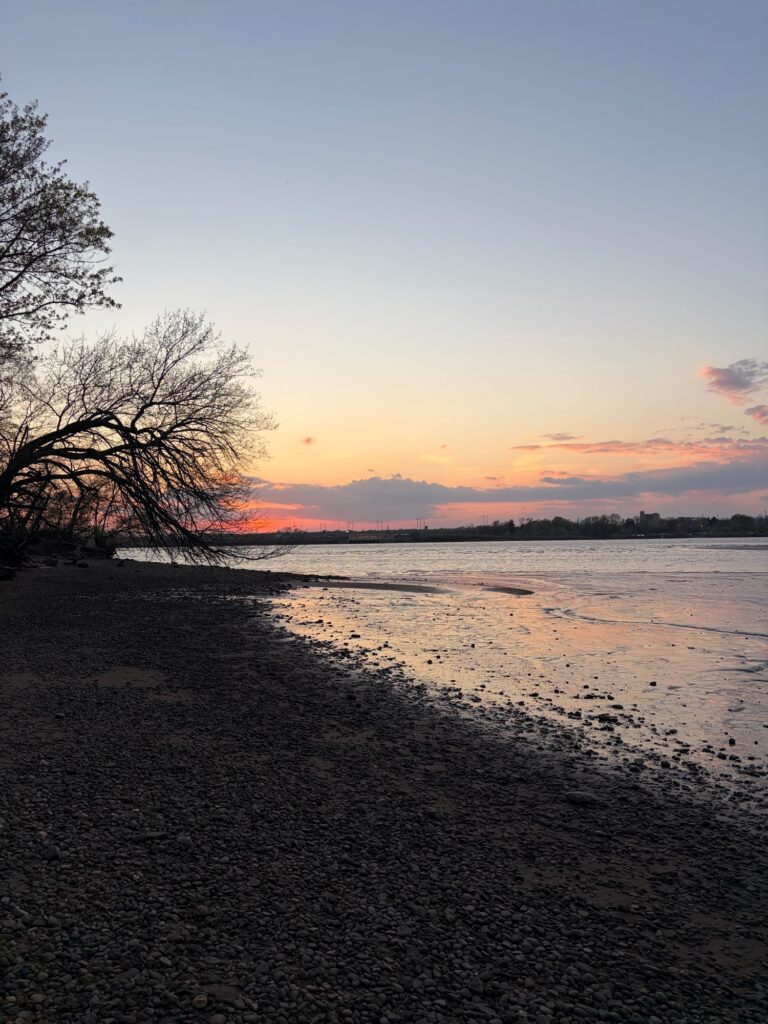 a beach with a tree and water (MyCoast AI)