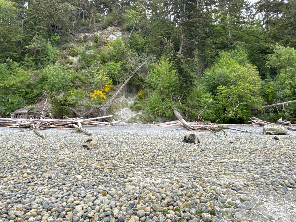 a rocky area with trees and bushes (MyCoast AI)