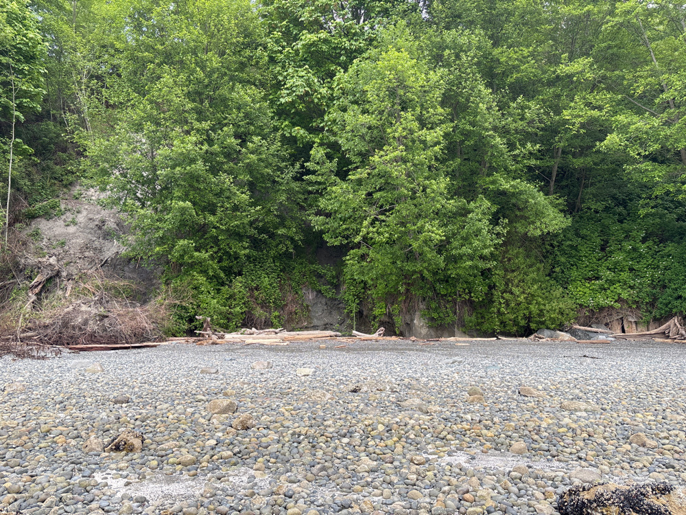a rocky area with trees in the back (MyCoast AI)