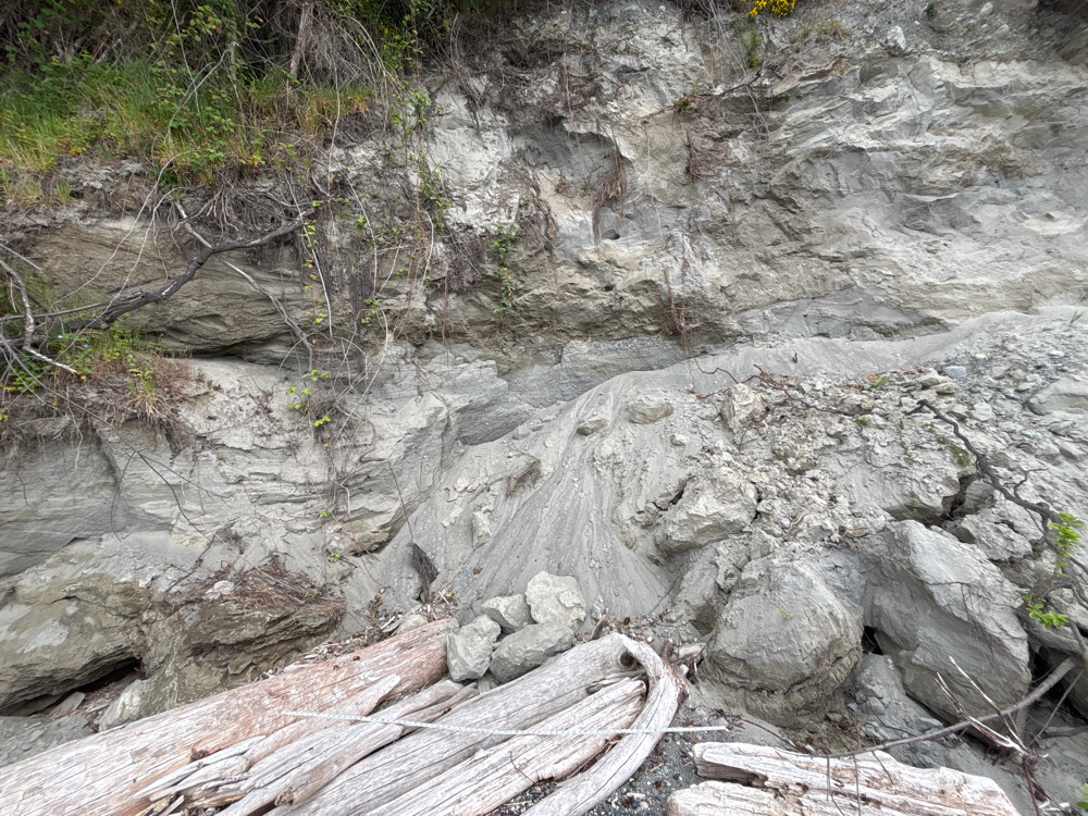 a rocky area with a tree (MyCoast AI)