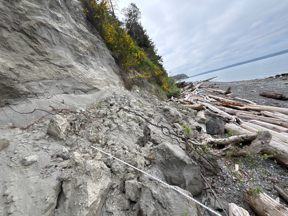 a rocky beach with trees (MyCoast AI)