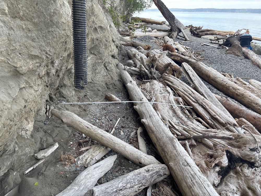 a pile of wood next to a beach (MyCoast AI)