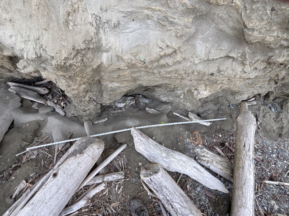 a group of sticks and sticks next to a rock wall (MyCoast AI)