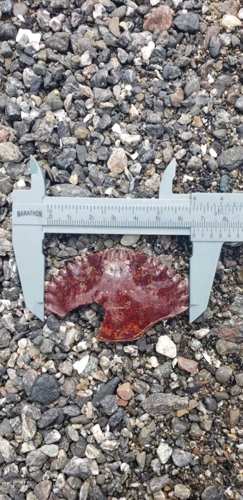 a sign on a rocky surface (MyCoast AI)
