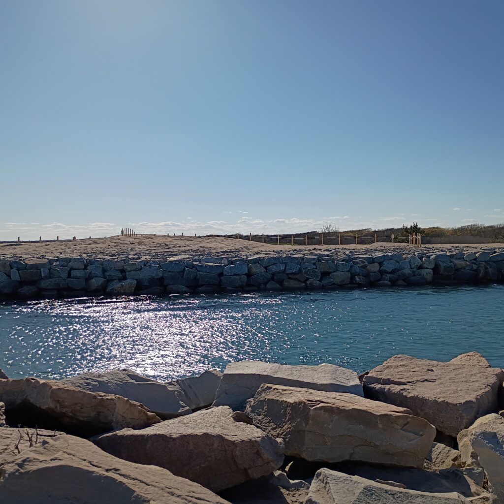 a rocky beach with a body of water in the background (MyCoast AI)