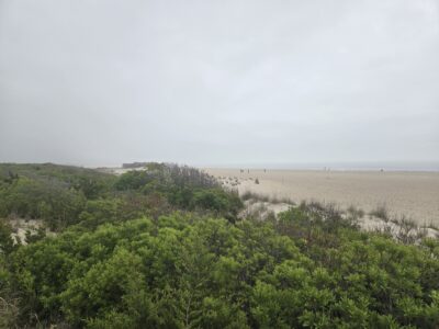 Cape May Point, NJ